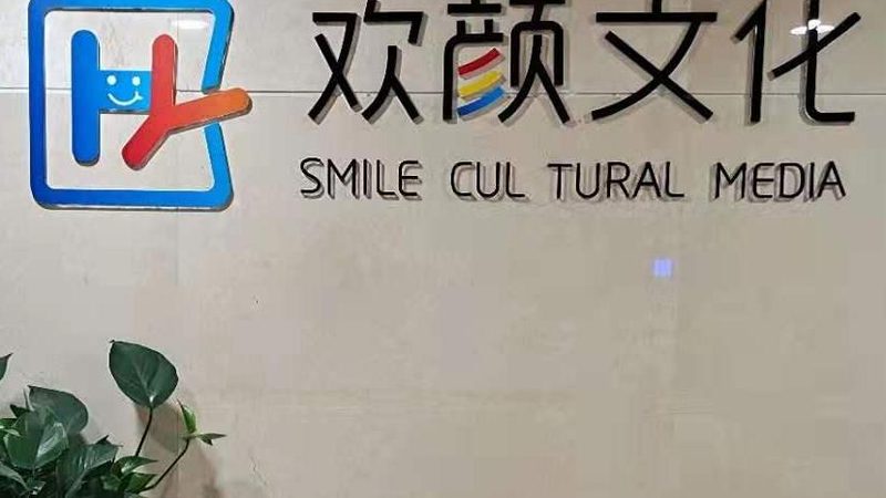 媒介投放案例报告：如何精准解析与优化**